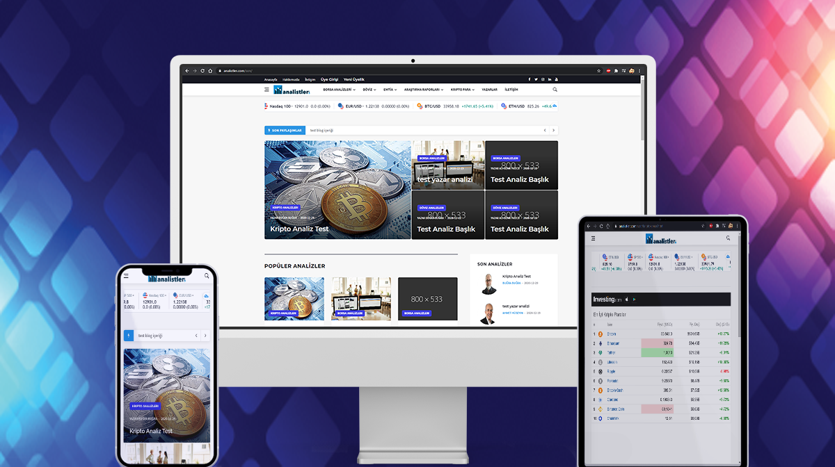 Analistler Finans Firması Web Sitesi Tasarımı ve Yazılımı