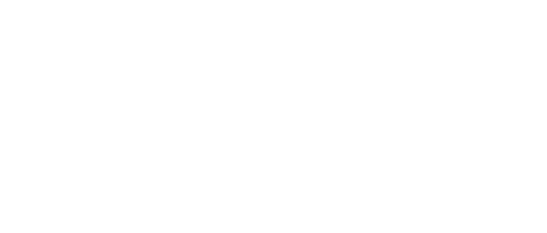 Saray Uluslararası Çiçekçilik Firması