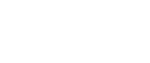 İzmir Ege Rent A Car Firması